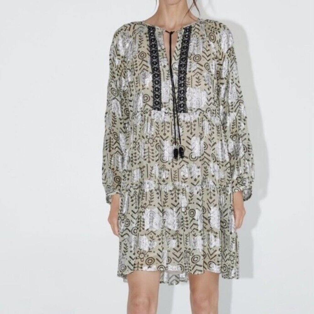 Zara Mini Dress Embroidered Metallic Tassel Tie Size Small